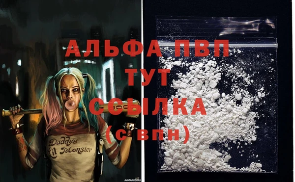 ГАЛЛЮЦИНОГЕННЫЕ ГРИБЫ Ладушкин