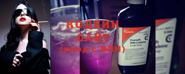 ГАЛЛЮЦИНОГЕННЫЕ ГРИБЫ Ладушкин