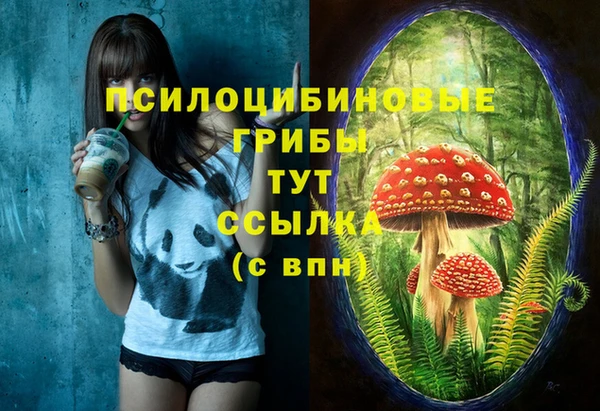 соль курить ск Лагань