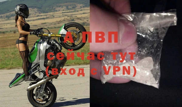 ГАЛЛЮЦИНОГЕННЫЕ ГРИБЫ Ладушкин